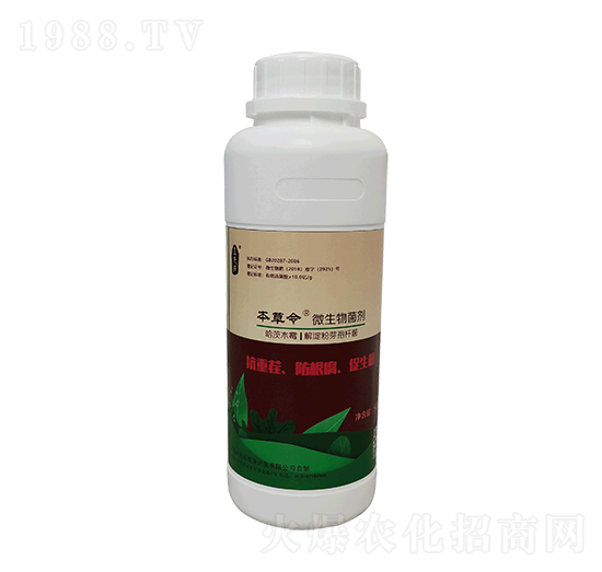 ���������-��ɫʯ�r�I(y��)