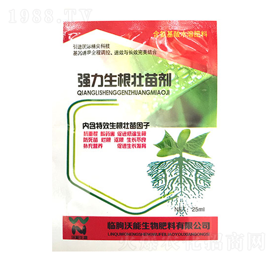 �����������焩-��������