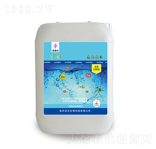 ����-����-�������