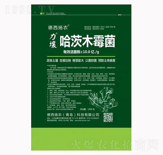 ����ľù��-����-�����P�r