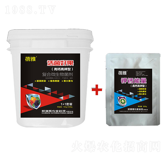 ���}����͏�(f��)��΢�������-����-�P��˹