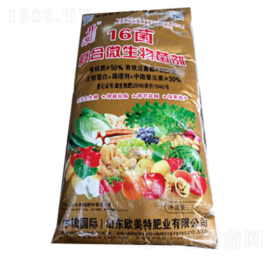 16���ͺ�΢�������-��������