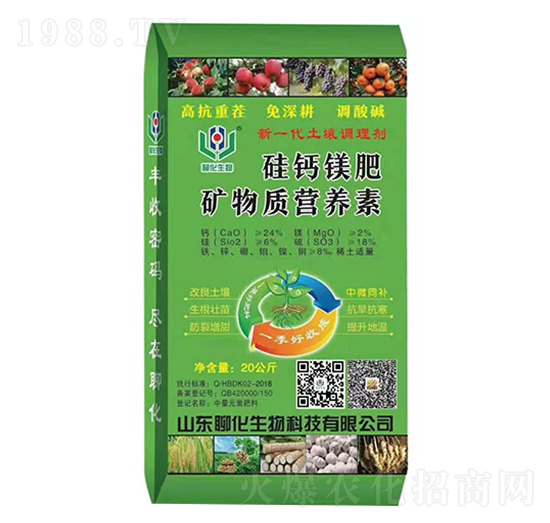 �V���|(zh��)�I�B(y��ng)��-���}�V��-�Ļ�����