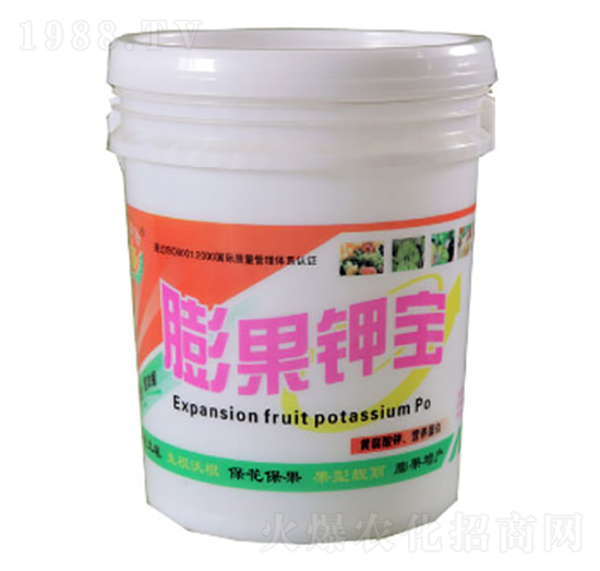 ���⛌�-�|���t