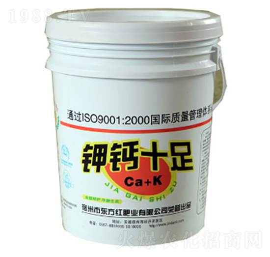 ��}ʮ��-�|���t