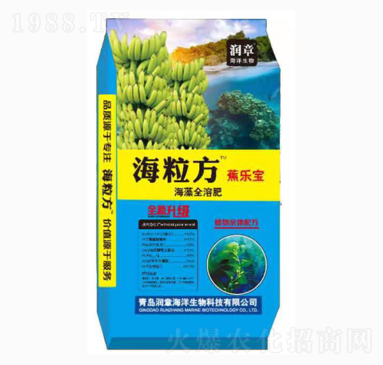 ����������ȫ�ܷ�-����(l��)��-��(r��n)�º���