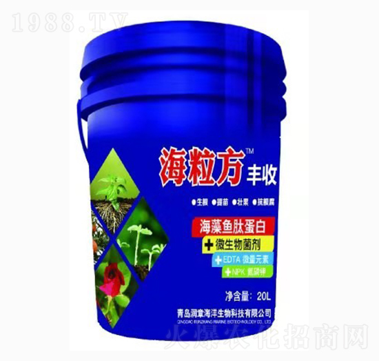 �����~(y��)�ĵ���-������-��(r��n)�º���