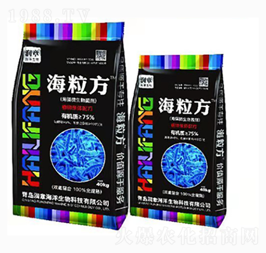 ����΢�������-������-���º���