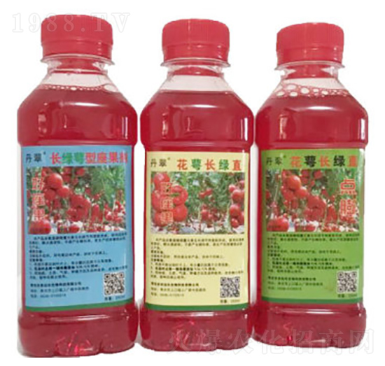 �����L�Gֱ-�r����