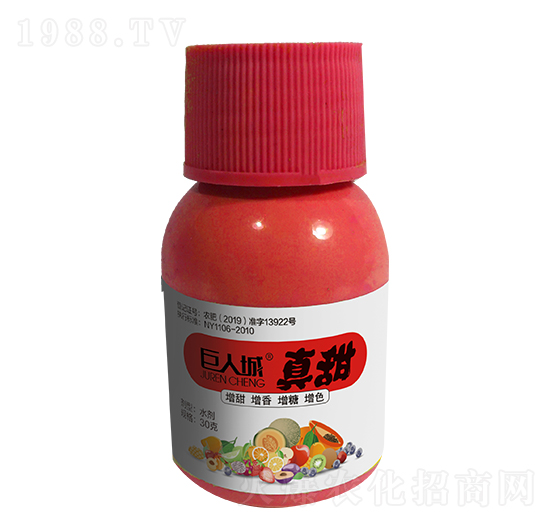 ����-���˳�