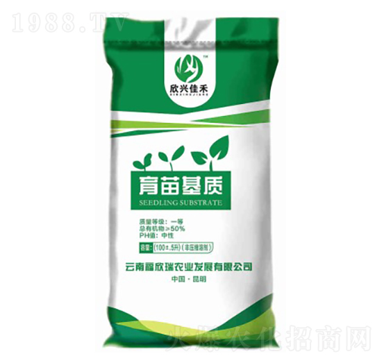 ������|-���d�Ѻ�-������