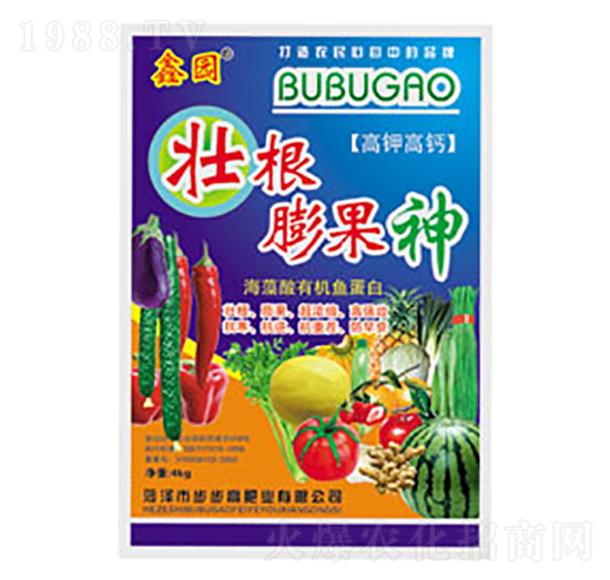 �Ѹ������-�Έ@-�����߷ʘI(y��)