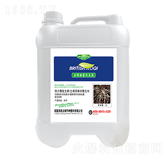 ������������Һ-Ӣ������