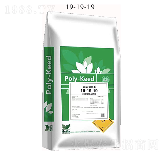 ˮ���ԏ�(f��)�Ϸ���19-19-19-������������-������