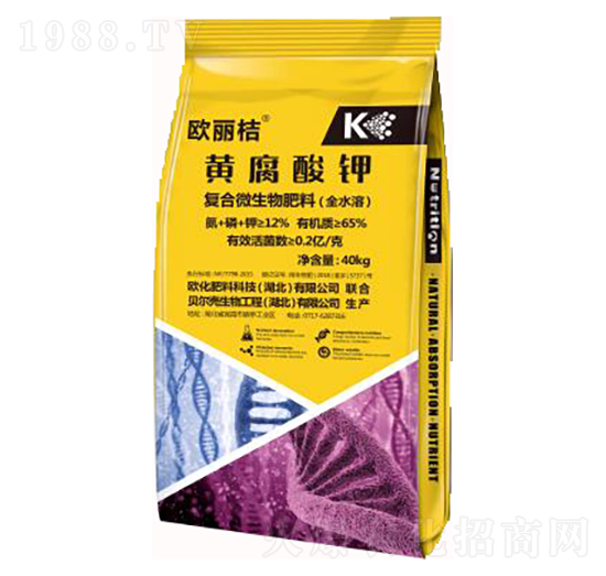 �S�����-�W����-�W������