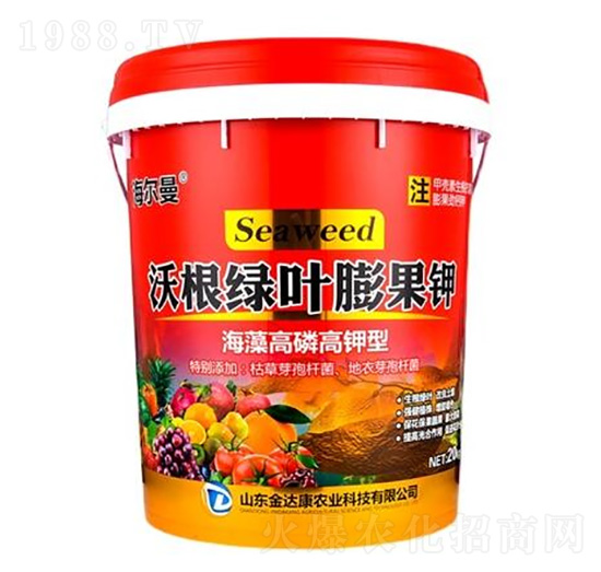 �ָ��G�~����-������-���_���r�I(y��)