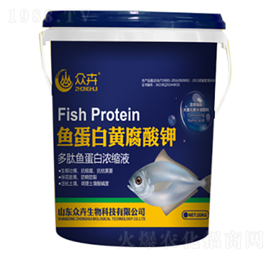 �~�����S�����-��������