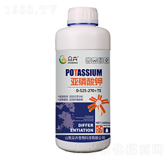 �������-��������