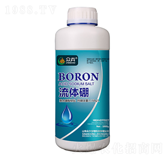 1000g���w��-��������