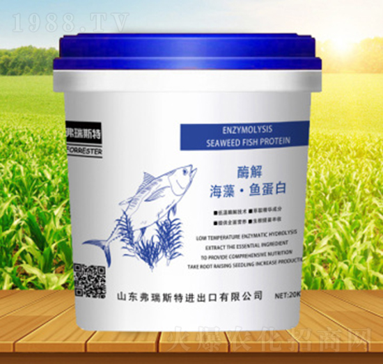 �����~(y��)����-����˹��