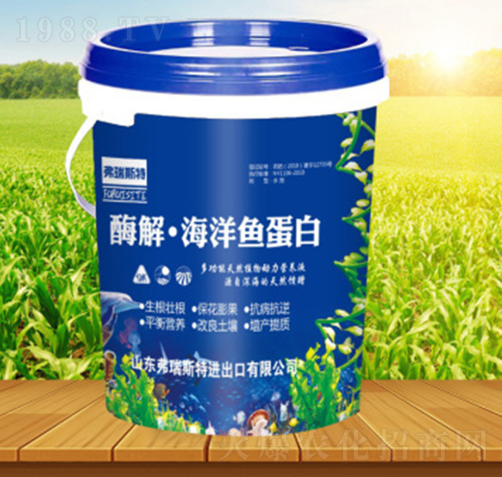 ø�⡤�����~(y��)����-����˹��