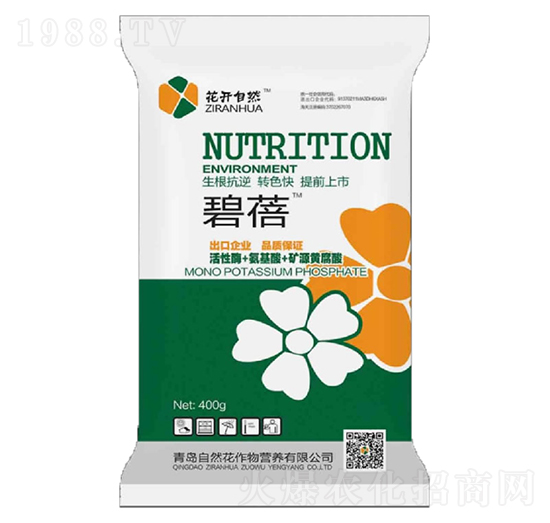 ����-��Ȼ��