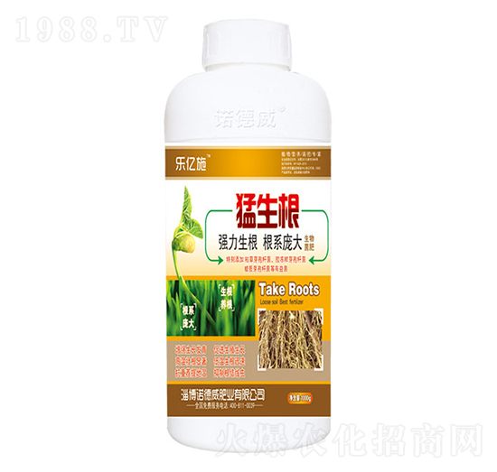 ������-�Z����