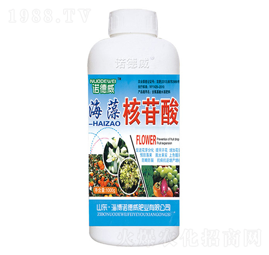 ���������-�Z����