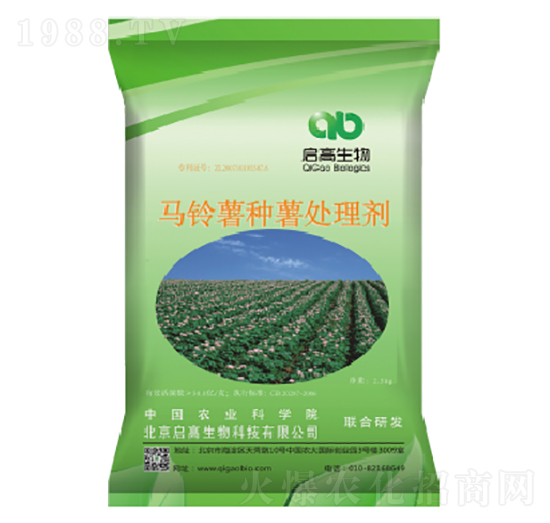 �R����N��̎�턩-��������