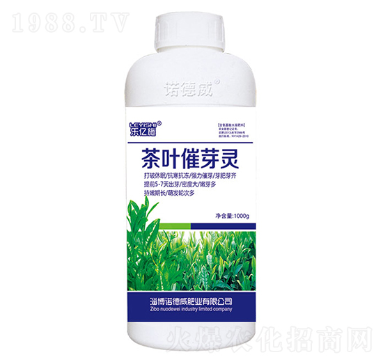 ���~��ѿ�`-��(l��)�|ʩ-�Z����