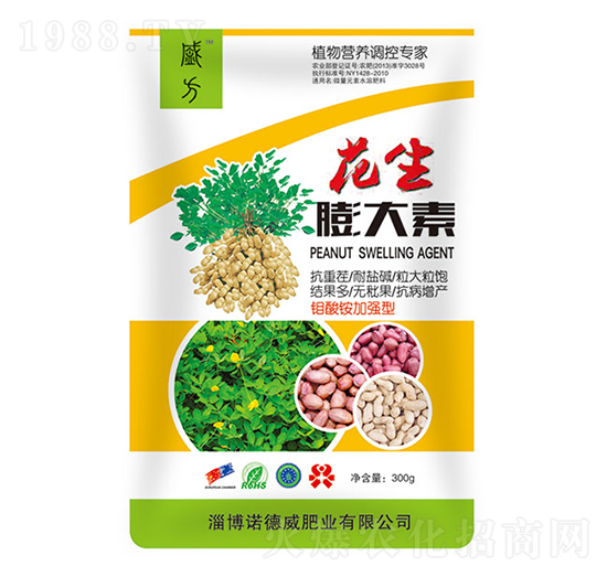 ���������-�Z����