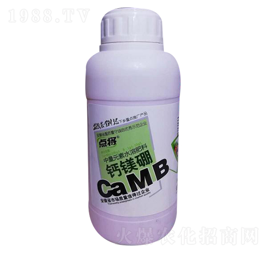 �c���}�V��-�B(y��ng)��