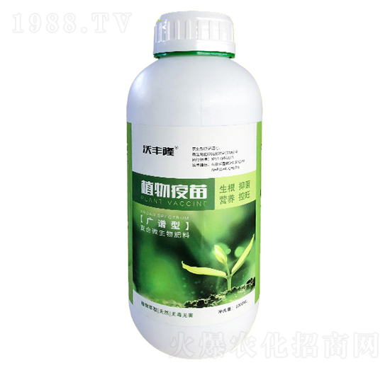 1Lֲ������-��(qi��ng)