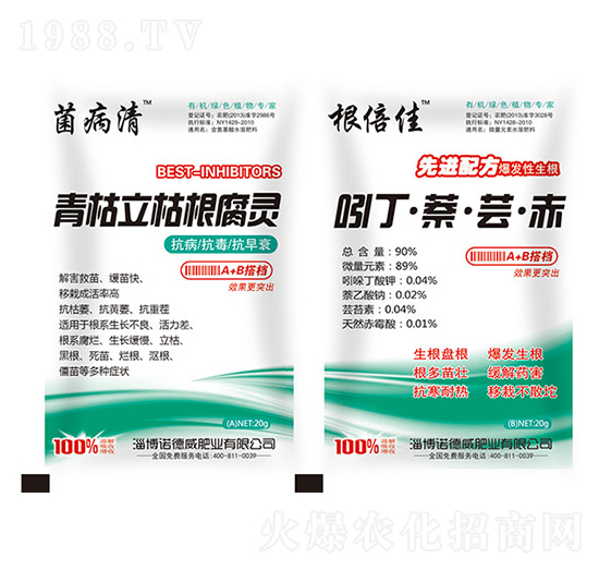 ������ݸ����`+�Ŷ��������|����-�Z����