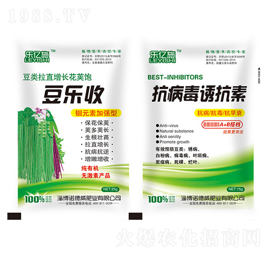 ������+�������T����-�Z����