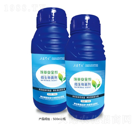 ���ݰ�ȫ��-���_