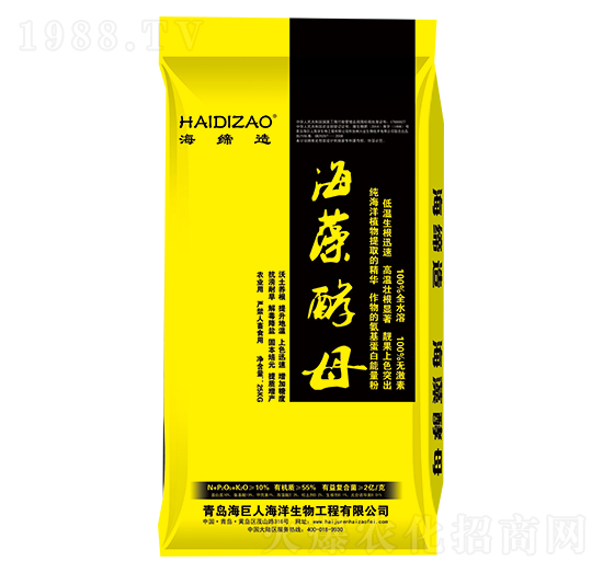 �����ĸ-������