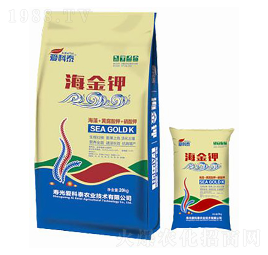 ����⛣��M�ϣ�-�ۿ�̩