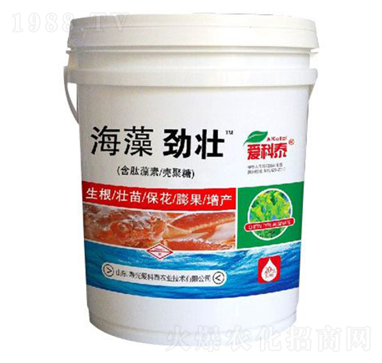 ����ŉ�-�ۿ�̩