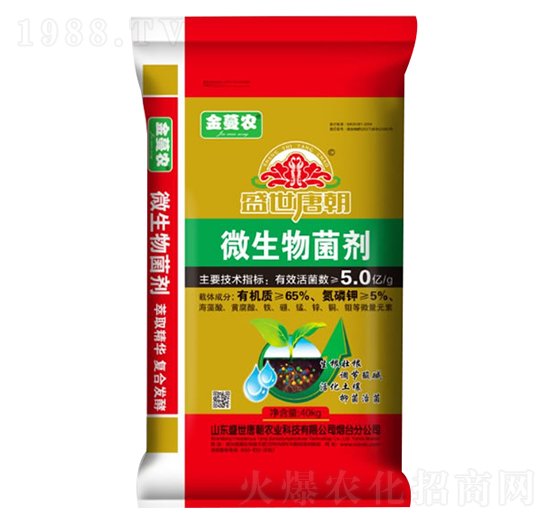 5�|΢�������-ʢ���Ƴ�