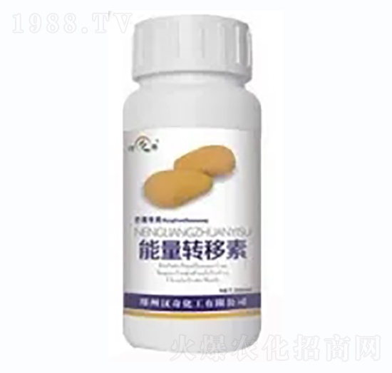 â�������D����-�h�滯��