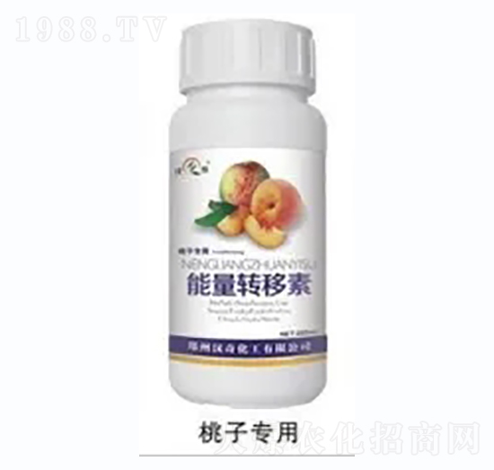 ���������D(zhu��n)����-�h�滯��