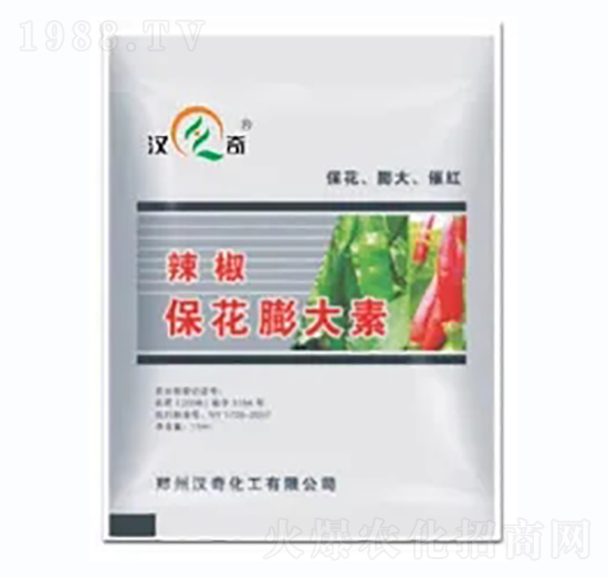 �������������-�h�滯��