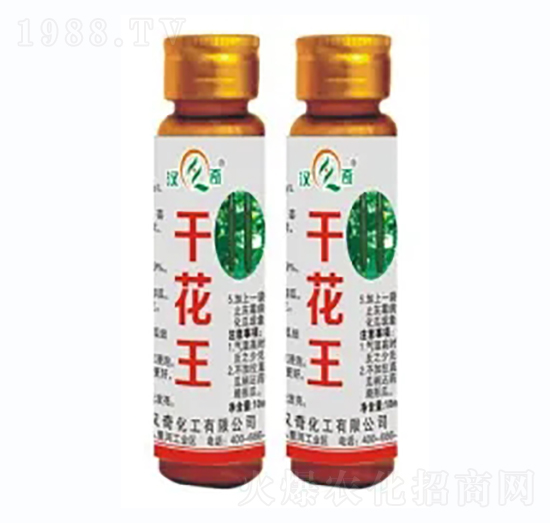 �ɻ���-�h�滯��