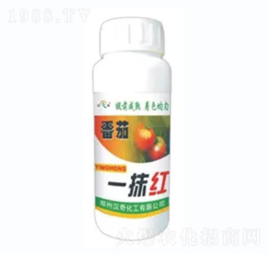 ����һĨ�t-�h�滯��