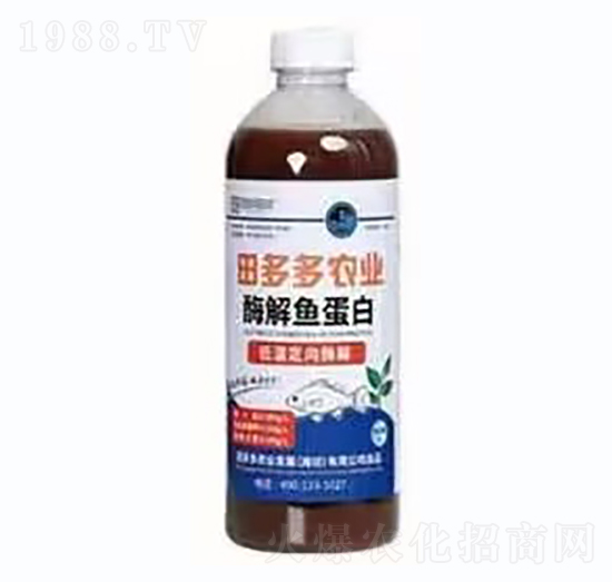 ø���~����-�����r(n��ng)�I(y��)