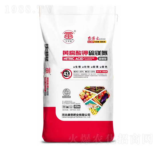 �S�������V��-�����ʘI(y��)