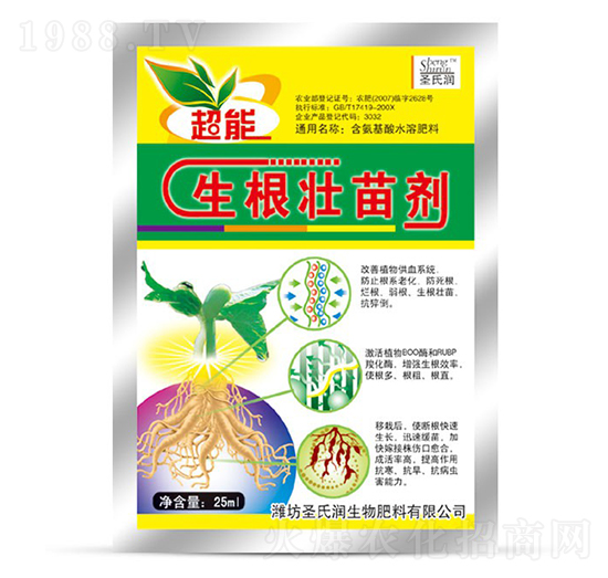 �������焩-ʥ�ϝ�