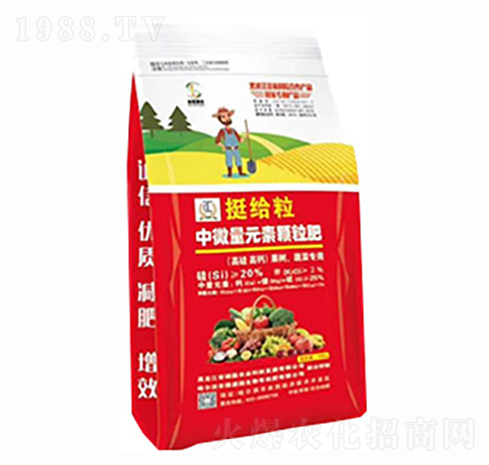 ����(sh��)�߲ˌ�(zhu��n)��-ͦ�o����΢��Ԫ��-�T���r(n��ng)�I(y��)