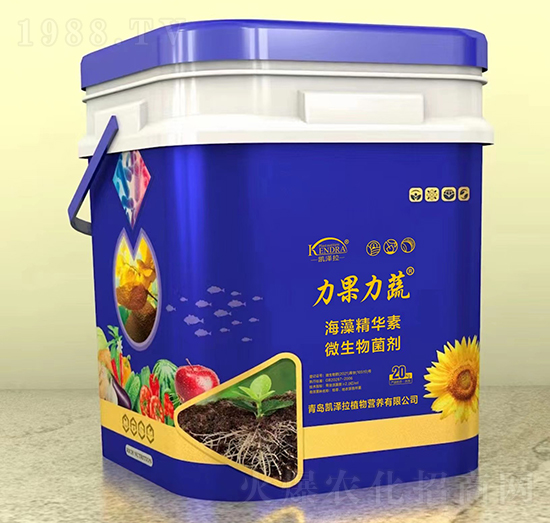 ���徫�A��΢�������-��������-�P����